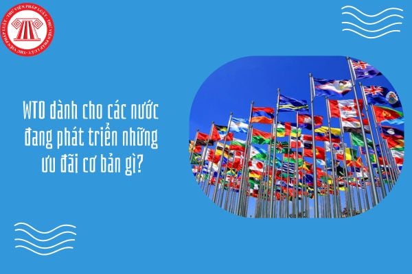 GDKTPL 12 Bài 16: WTO dành cho các nước đang phát triển những ưu đãi cơ bản gì?