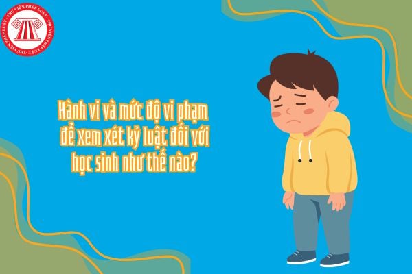 Hành vi và mức độ vi phạm để xem xét kỷ luật đối với học sinh như thế nào?