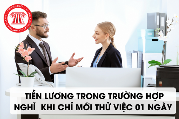 Trả lương cho 01 ngày thử việc