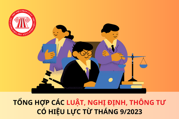 Luật, Nghị định, Thông tư có hiệu lực từ tháng 9/2023