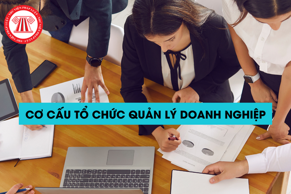 Cơ cấu tổ chức quản lý doanh nghiệp 2024