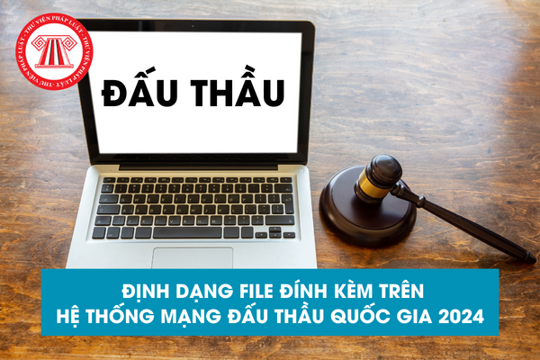 Định dạng file đính kèm trên Hệ thống mạng đấu thầu quốc gia