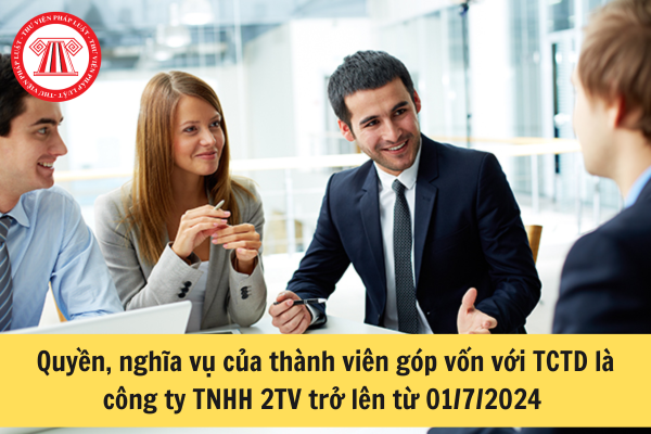 thành viên góp vốn