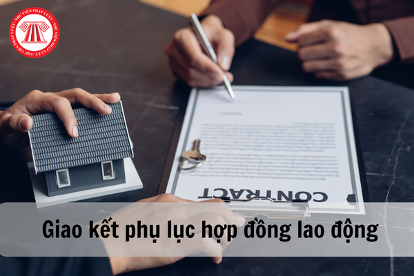 phụ lục hợp đồng lao động