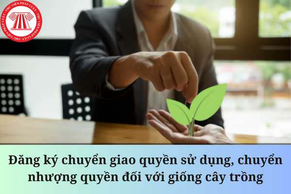 giống cây trồng