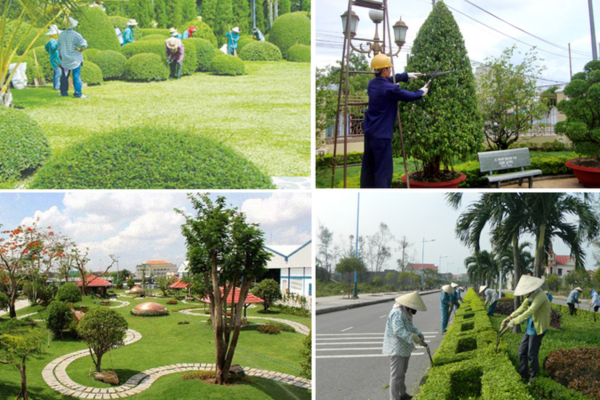 Mã ngành 8130: Dịch vụ chăm sóc và duy trì cảnh quan 