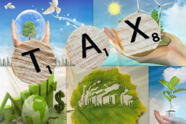 Năm 2024, trường hợp người nộp thuế bảo vệ môi trường được hoàn thuế
