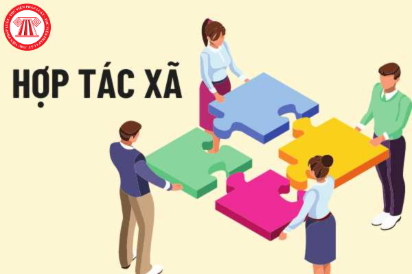 hợp tác xã