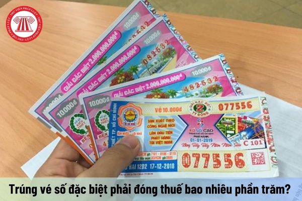 Pháp luật