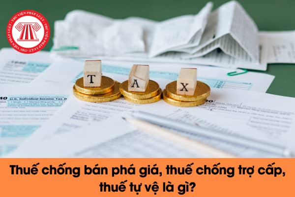 Pháp luật