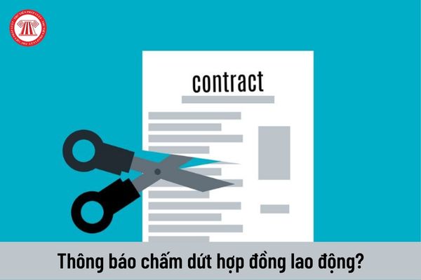 chấm dứt hợp đồng lao động