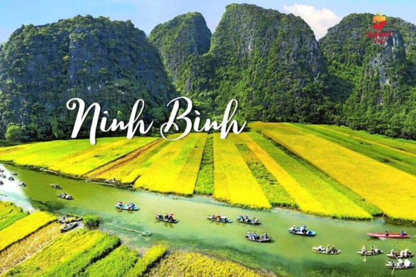 đăng ký kinh doanh ninh bình