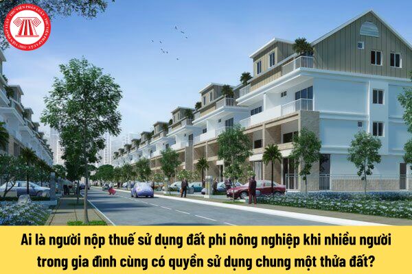 Ai là người nộp thuế sử dụng đất phi nông nghiệp khi nhiều người trong gia đình cùng có quyền sử dụng chung một thửa đất?