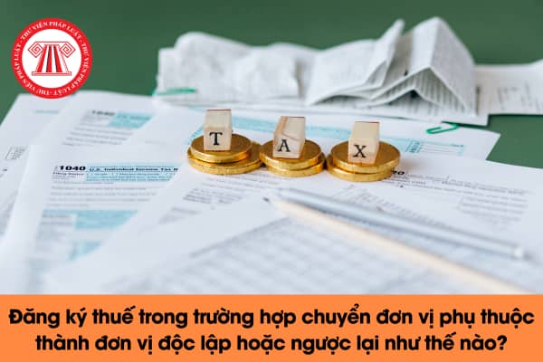 Đăng ký thuế trong trường hợp chuyển đơn vị phụ thuộc thành đơn vị độc lập hoặc ngược lại như thế nào?