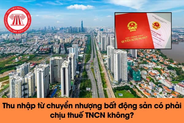 Pháp luật