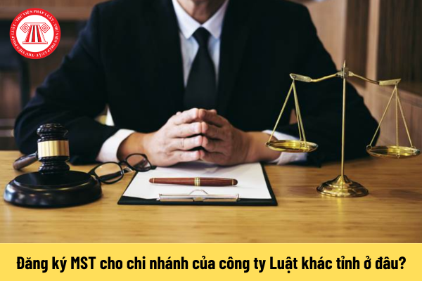 Pháp luật