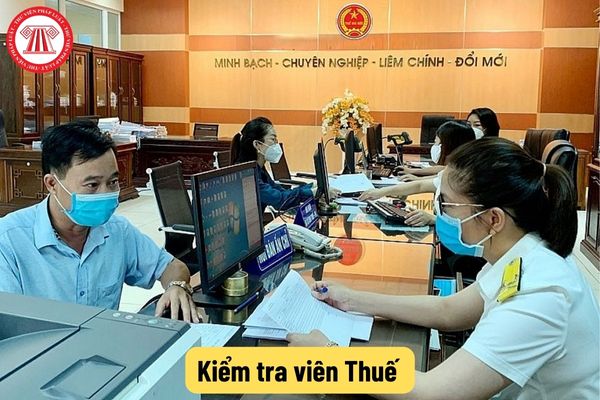 kiểm tra viên thuế