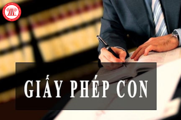 giấy phép con là gì