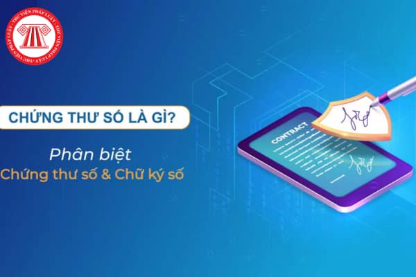 chứng thư số là gì