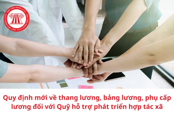 Quy định mới về thang lương, bảng lương, phụ cấp lương đối với Quỹ hỗ trợ phát triển hợp tác xã