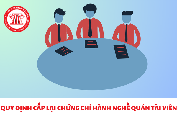 Quy định cấp lại chứng chỉ hành nghề Quản tài viên như thế nào 