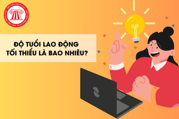 độ tuổi lao động