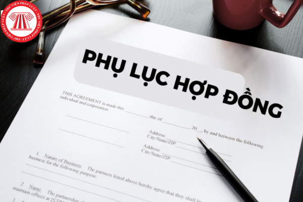 phụ lục hợp đồng lao động