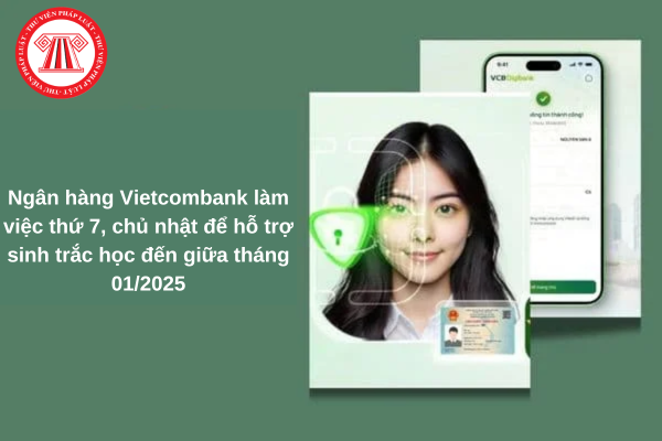 giờ làm việc vietcombank