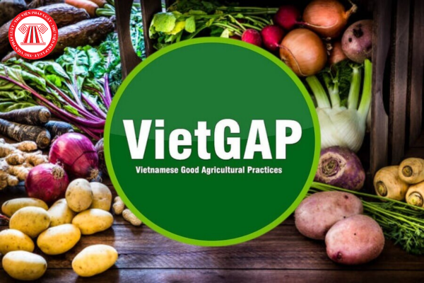 VietGAP