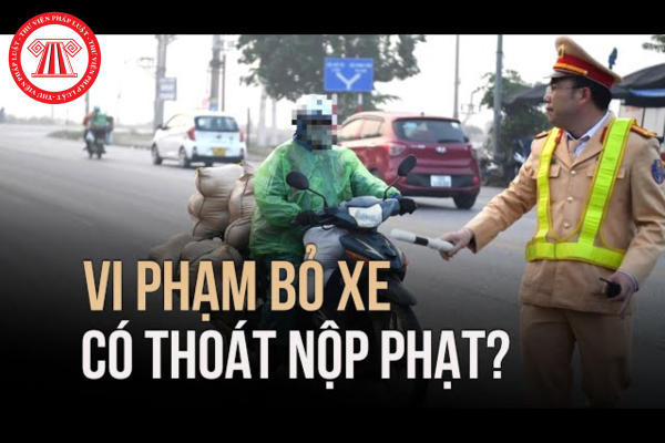 vi phạm xong bỏ xe