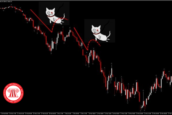 dead-cat-bounce