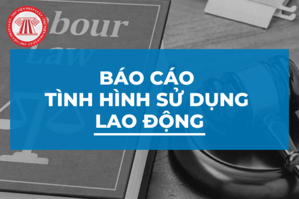 báo cáo tình hình sử dụng lao động năm 2025