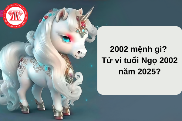 2002 mệnh gì? Tử vi tuổi Ngọ 2002 năm 2025? 04 điều người lao động cần lưu ý khi đi xin việc năm 2025