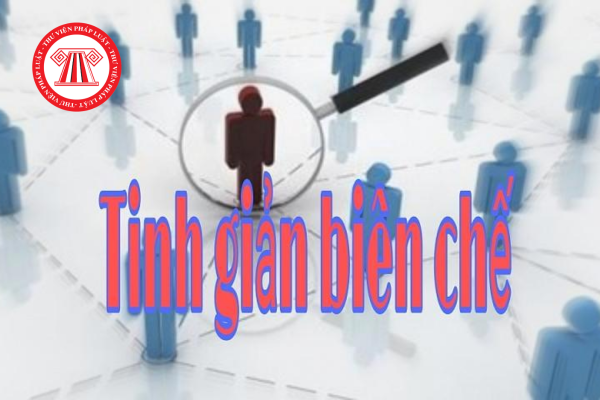 Hoạt động tinh giản biên chế cần tuân thủ các nguyên tắc gì?