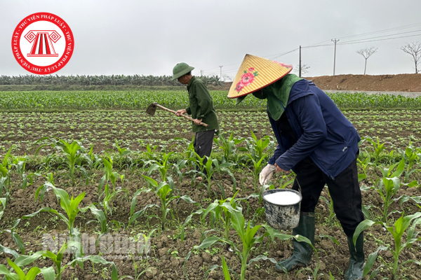 Hàng hóa, dịch vụ chuyển từ không chịu thuế sang chịu thuế suất 5% theo quy định mới của Luật Thuế GTGT?