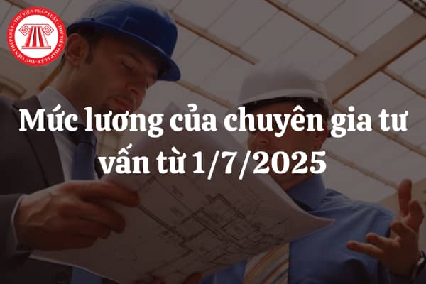 Mức lương của chuyên gia tư vấn từ 1/7/2025 chi tiết làm cơ sở cho xác định giá gói thầu