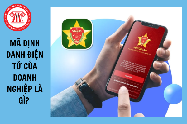 Mã định danh điện tử của doanh nghiệp là gì? Danh tính điện tử của cơ quan, tổ chức gồm những thông tin gì?
