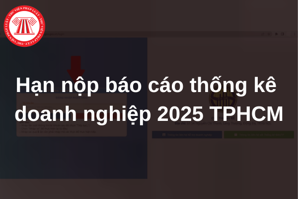 Hạn nộp báo cáo thống kê doanh nghiệp 2025 TPHCM