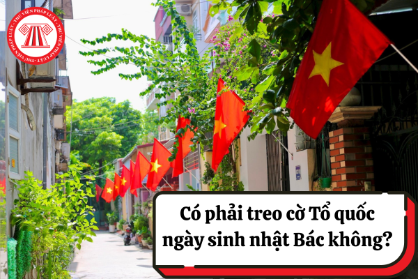 Có phải treo cờ Tổ quốc ngày sinh nhật Bác không? Treo cờ Tổ quốc sinh nhật Bác mấy ngày?