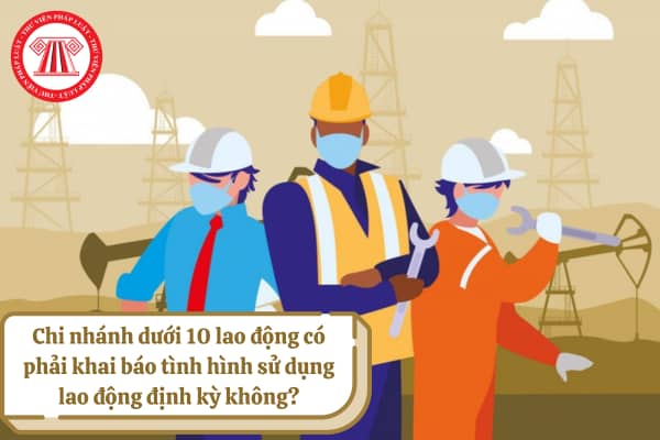Chi nhánh dưới 10 lao động có phải khai báo tình hình sử dụng lao động định kỳ không?