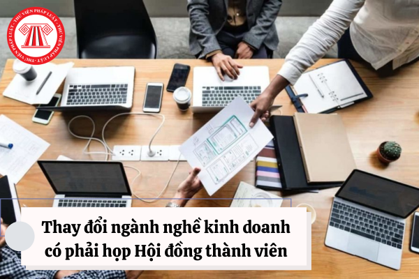 Thay đổi ngành nghề kinh doanh có phải họp Hội đồng thành viên Công ty TNHH hai thành viên trở lên không?