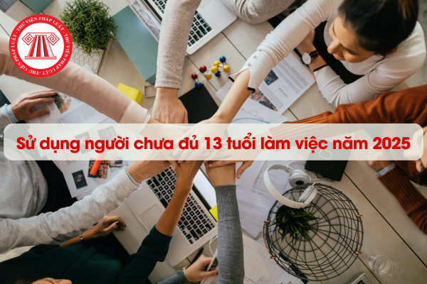 File word mẫu 01 đơn đề nghị việc sử dụng người chưa đủ 13 tuổi làm việc 2025