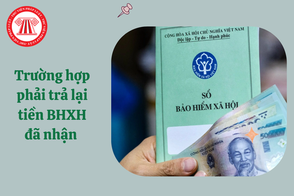 Hỏi đáp Pháp luật