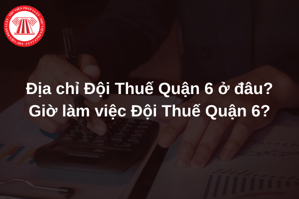 địa chỉ đội thuế quận 6