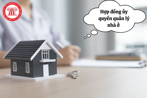 File word mẫu hợp đồng ủy quyền quản lý nhà ở 2025
