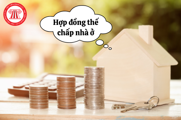 File word mẫu hợp đồng thế chấp nhà ở 2025