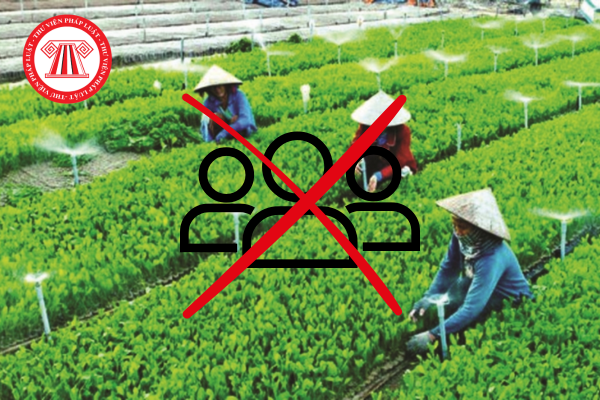 Các trường hợp nào chấm dứt tư cách thành viên liên hiệp hợp tác xã mới nhất