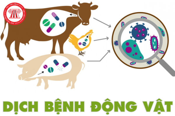Mẫu đơn đề nghị hỗ trợ thiệt hại do dịch bệnh động vật trên cạn theo Nghị định 116/2025/NĐ-CP