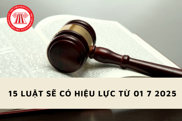 Tổng hợp 15 Luật sẽ có hiệu lực thi hành từ 01 7 2025