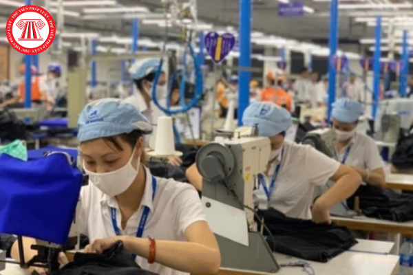 Mức lương tối thiểu vùng Cà Mau từ ngày 01/7/2025